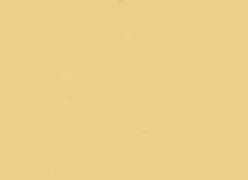 男人的价值的的句子精选154句