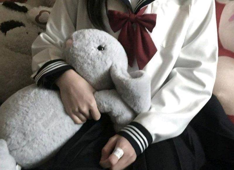 人生若只如初见的美句