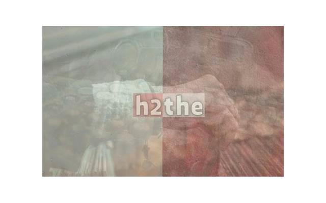 就等你这一句了 2月14情人节浪漫表白词