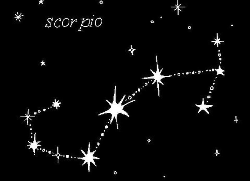 写景的优美段落摘抄大全[20句]