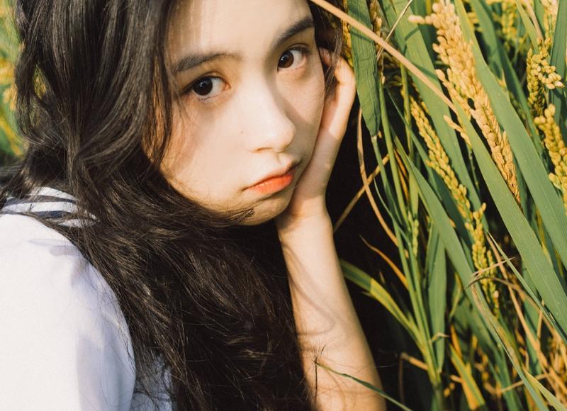 《表白情书写给男孩小学生》精选20句