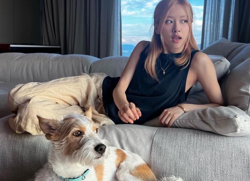 爱情公寓最长台词（精选15句）