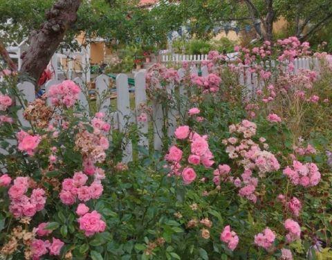 人生醒悟的句子 人生醒悟的经典话语大全