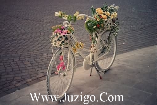 晚安的朋友圈说说发晚安的朋友圈说说精选(精选70句)