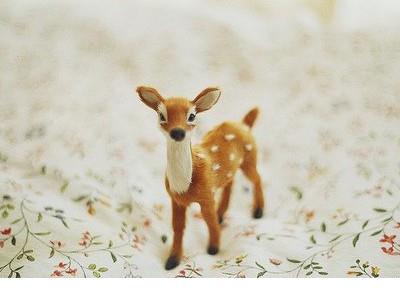 适合傍晚发的文案