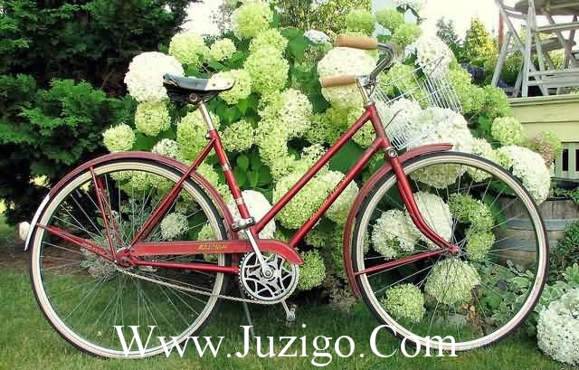 性网说说大全超拽90句