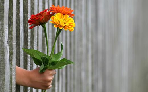 微信个性说说看透人心