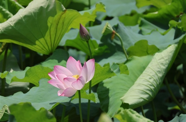 五字古风网名(560个)