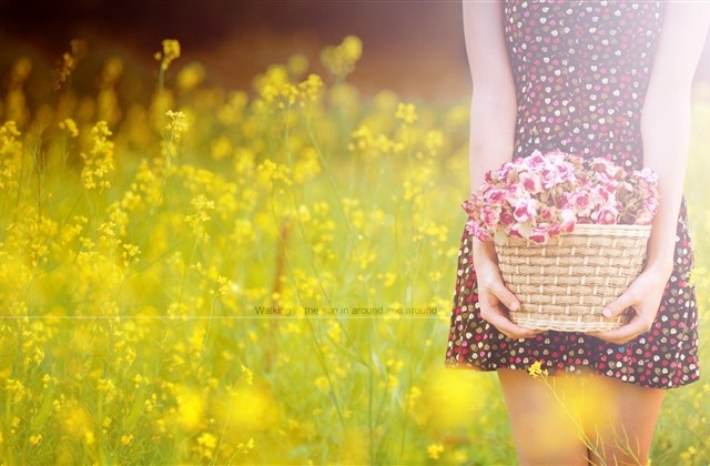 可以做网名的书名