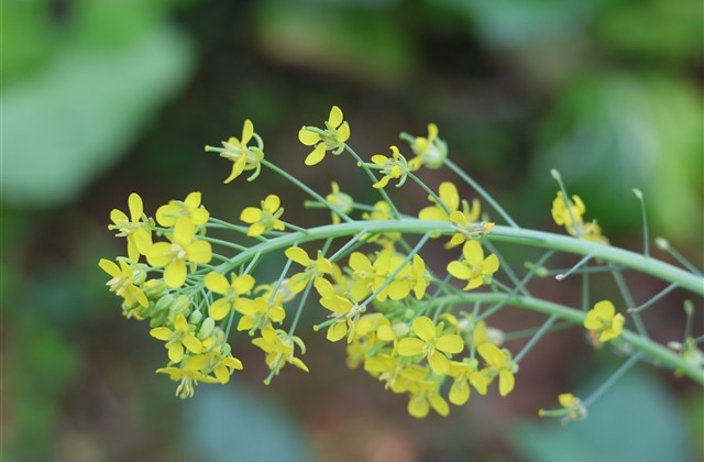 微信网名简单又好听的网名(共1067个) 微信网名简单又好听的网名(共1067个)