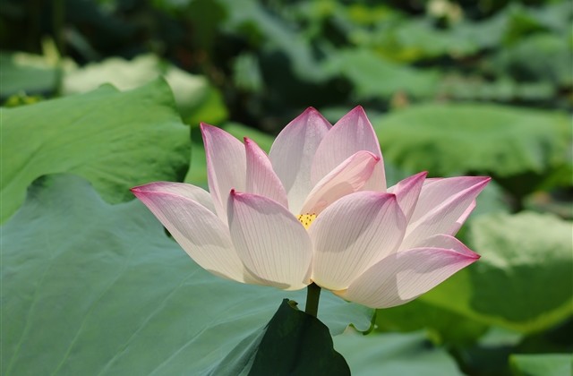 微信网名简单又好听的网名(共1067个) 微信网名简单又好听的网名(共1067个)