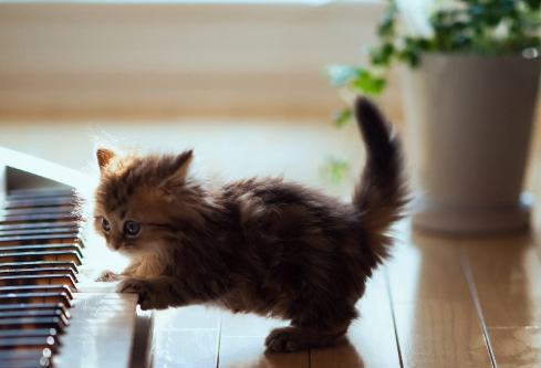 1691876805510184.png image.png