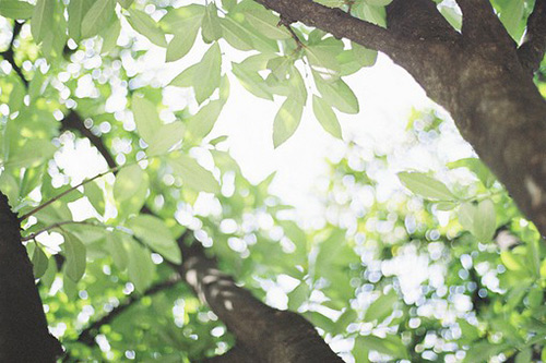 2026年伤感签名110句