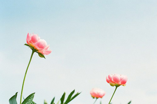 关于2026年说说大全111句