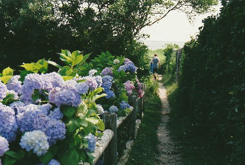 qq签名大全2026年最新版的超拽84句