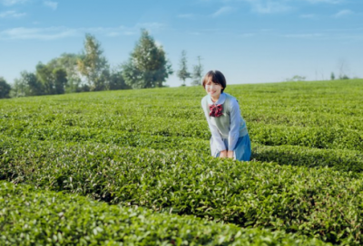 ​想离婚的句子35句