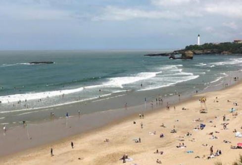 1764789501686087.png image.png