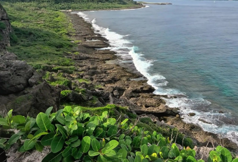 1764791996697672.png image.png