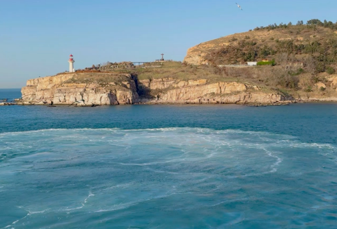 1764792993866753.png image.png