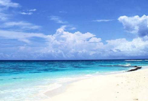 1764793657488442.png image.png