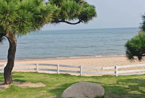 1764801133774105.png image.png