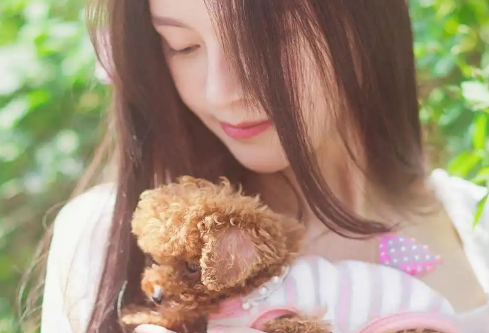 1766045228852065.png image.png